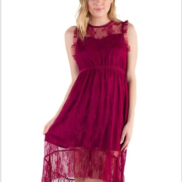 Women's Eyeshadow Sheer Lace Dress with Lining - Picture 5 of 5